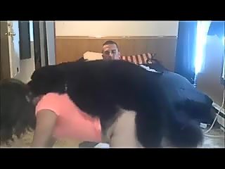 Amateur dog sex compilation