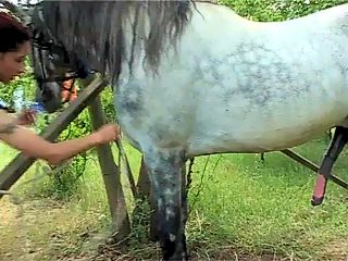 Sucking horse dick porn