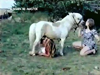 Animals and girl sex video