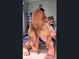 Homemade dog sex