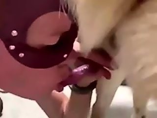 Animal licking pussy