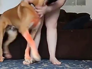 Animal and woman xxx